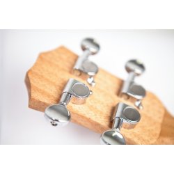 Reno RU210E ukulele med forforst�rker