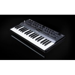 Modal Electronics Argon8 Wavetable Synthesizer (8-stemmer, 37-tangenter) 