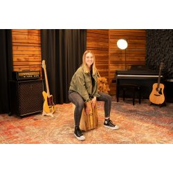 Meinl Percussion AEMILLI artisan edition cajon