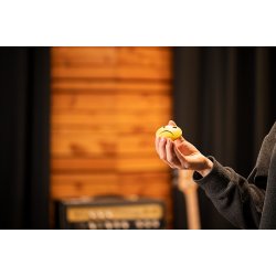 Meinl Percussion FSA4 face shaker soriment