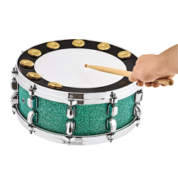 Meinl Percussion BBP13 Backbeat Pro 13" Tamburin