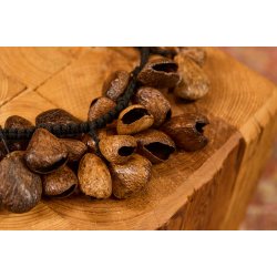 Meinl Percussion WA5 Pangi Fr� N�ddeskaller Shaker Vandfald Lydeffekt (40 fr�) 