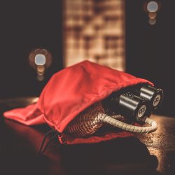 Meinl Percussion MHPB-L stor pose 