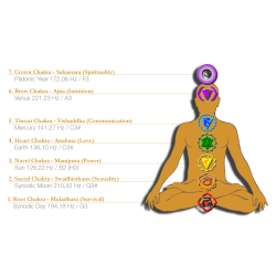 Meinl Sonic Energy TF-SET-CHA-7 Stemmegaffel Chakra S�t