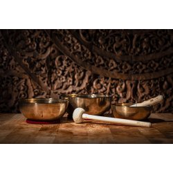 Meinl Sonic Energy SB-E-3100 Energy Singing Bowl s�t