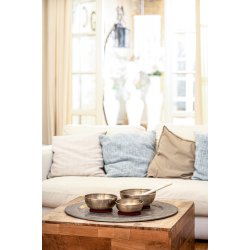 Meinl Sonic Energy SB-E-3100 Energy Singing Bowl s�t