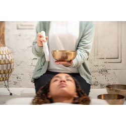 Meinl Sonic Energy SB-E-3100 Energy Singing Bowl s�t