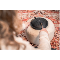 Meinl Sonic Energy SSTD1BK Small Steel Tongue Drum, F Minor