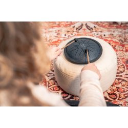 Meinl Sonic Energy SSTD2NB Small Steel Tongue Drum, G Minor