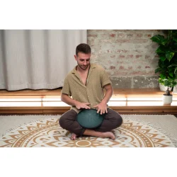 Meinl Sonic Energy CSTD1DG Kompakt Steel Tongue Drum (h-mol, 8 Toner, 432 Hz, M�rkegr�n)