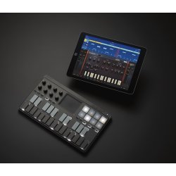 KORG Nanokey-ST USB Controller Keyboard