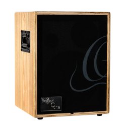 Ortega Akustisk forst�rker combo 100w, Ash
