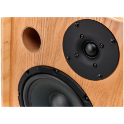 Ortega Akustisk forst�rker combo 100w, Ash