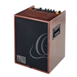 Ortega Akustisk forst�rker combo 100w, valn�d