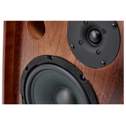 Ortega Akustisk forst�rker combo 100w, valn�d