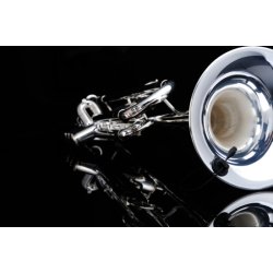 JTS Kondensatormikrofon til strenge / guitar / bl�ser med XLR adapter