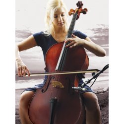 JTS Pennmikrofon, cardioid