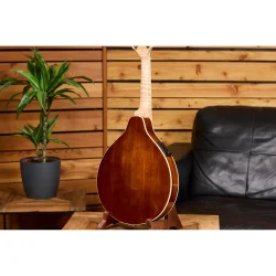 Ortega RMAE200PF Americana Serie A-style Mandolin m/mikkrofon inkl. kuffert (Flamed Maple/Mahogany purple fade)