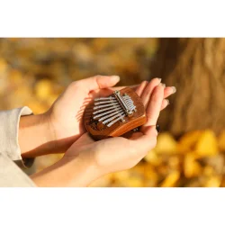 Meinl Sonic Energy KL801TOL Solid Mini Tree Of Life Kalimba C Dur 8 Noder (Sort Valnd)