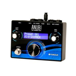 Foxgear Anubi Ambient Analog / Digital Ambient Multieffekt