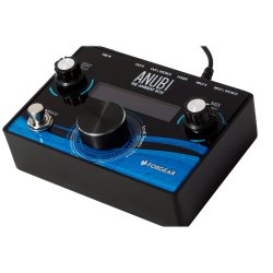 Foxgear Anubi Ambient Analog / Digital Ambient Multieffekt