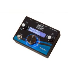 Foxgear Anubi Ambient Analog / Digital Ambient Multieffekt