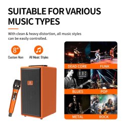 Acemic L9 Aktiv udendrs hjttaler m/indbygget genopladelig batteri 