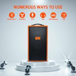 Acemic L9 Aktiv udendrs hjttaler m/indbygget genopladelig batteri 