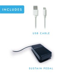 Carry-on fra Blackstar FP49 - Folding Piano 