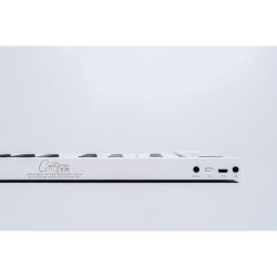 Carry-on fra Blackstar FP88T - Folding Piano 