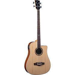 EKO Guitars NXT B100CWE electro cutaway bas akustisk bas