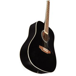 EKO Guitars Ranger 6 Black western guitar 
