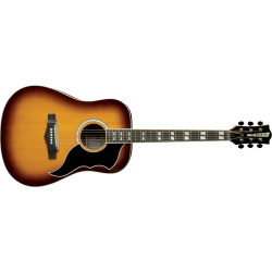 EKO Guitars Ranger Vintage Reissue VI electro Honey Burst western guitar m/pickup