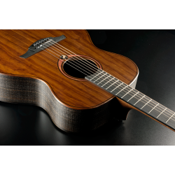 L�G SAUVAGE-A Sauvage Auditorium