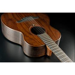 L�G SAUVAGE-TE Sauvage Travel Acoustic-Electric