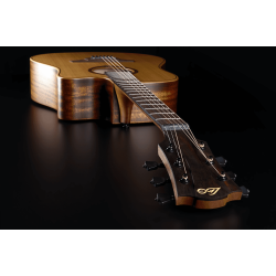 L�G T170DCE Dreadnought Western Guitar med pickup