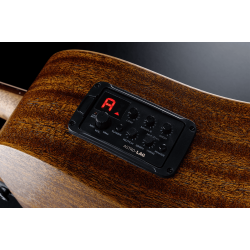 L�G T170DCE Dreadnought Western Guitar med pickup