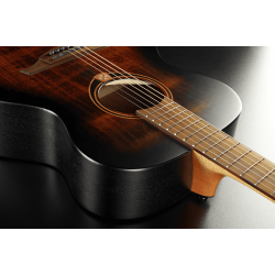 LG T70A-B&B Auditorium Black &amp; Brown