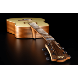 L�G T70D Dreadnought 