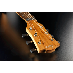 L�G T70D-BLS Dreadnought Black