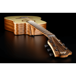 L�G T70DCE Dreadnought Cutaway Electro