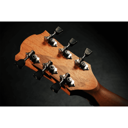 L�G T70DCE-NAT Dreadnought Cutaway Electro