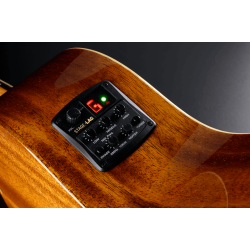 L�G T88ACE Auditorium Western Guitar