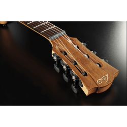 L�G TN70A-B&B Nylon Auditorium Black &amp; Brown