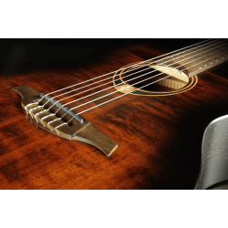 L�G TN70A-B&B Nylon Auditorium Black &amp; Brown