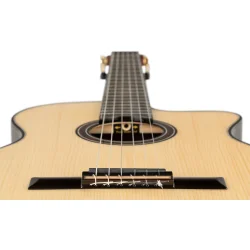 Ortega GRANDSUITE-CE The Private Room 4/4 St�rrelse Klassisk Guitar m/mikrofon &amp; lydhul inkl. taske