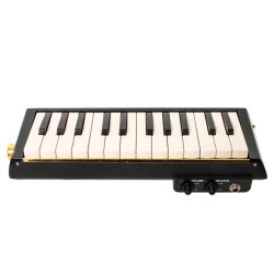 Hammond PRO-24B Elektrisk/Akustisk Bass Melodion (24 tangenter, f - e2) inkl tilbeh�r &amp; taske