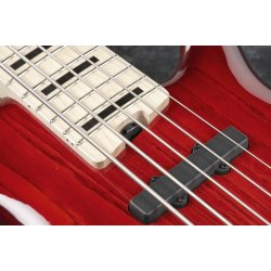 Ibanez ANB205-TWB Elbas med gigbag, Adam Nitti signature