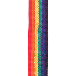 D'Addario Accessories PWS111 Polypro 50mm Guitarrem (Rainbow)