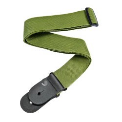 D'Addario Accessories PWS107 Polypro 50mm Guitarrem (Grn)